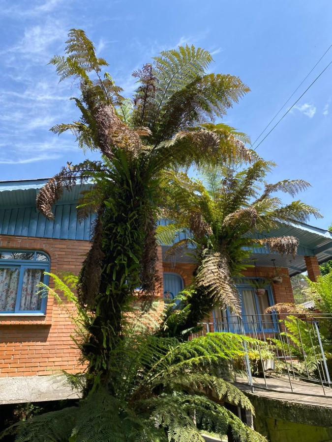Casa Da Vo Diva No Centro De Gramado 빌라 외부 사진